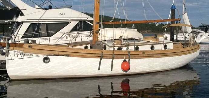 image4.jpeg
