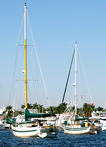 4357321074_478a290eb4_o