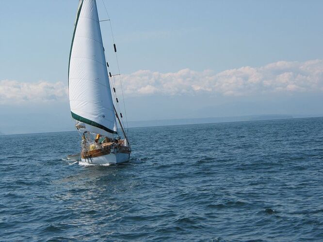 Tyree_Sailing_Cattle_Passage