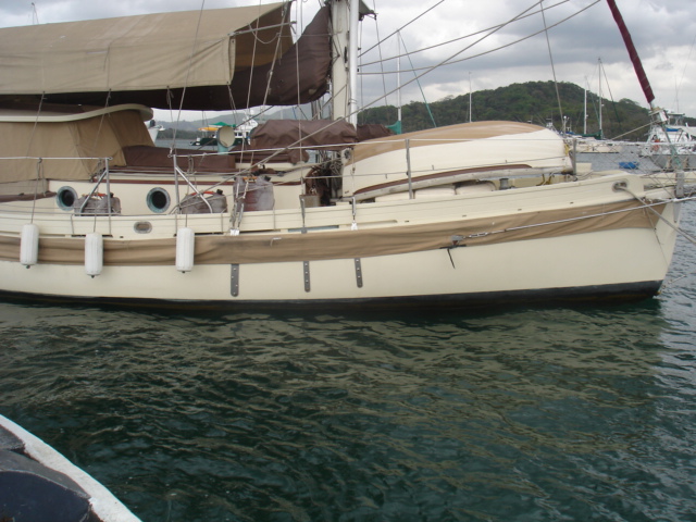 Varnish 007.jpg