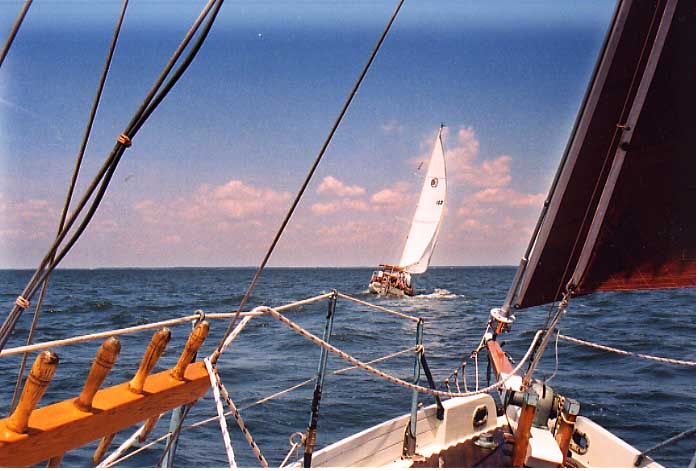 Iduna_and_Sirius_sailing